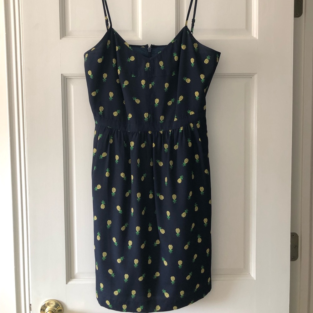 J Crew sundress